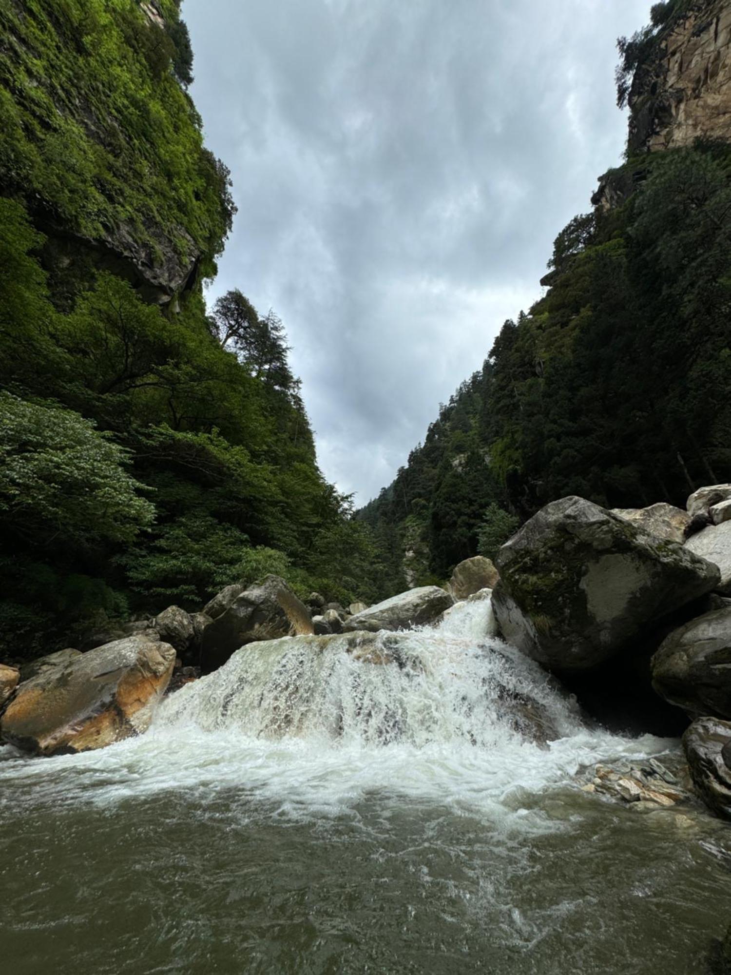 Delight Homestay Kasol Buitenkant foto