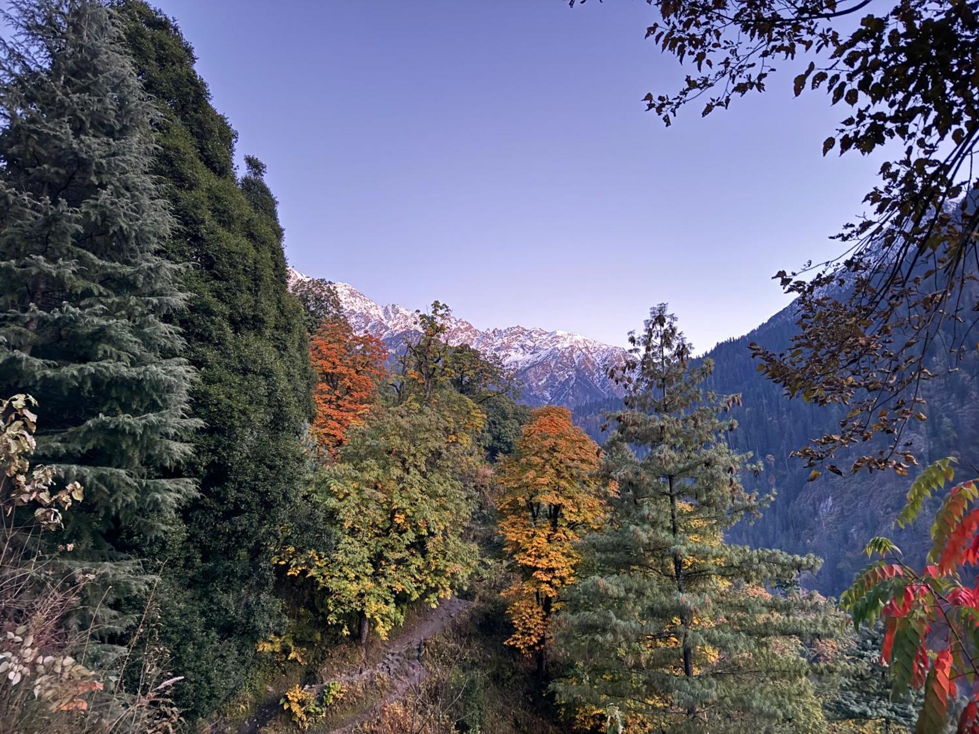 Delight Homestay Kasol Buitenkant foto